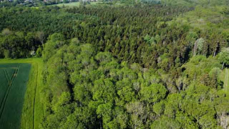 Drone-Shot-Flying-Away-from-Woodland